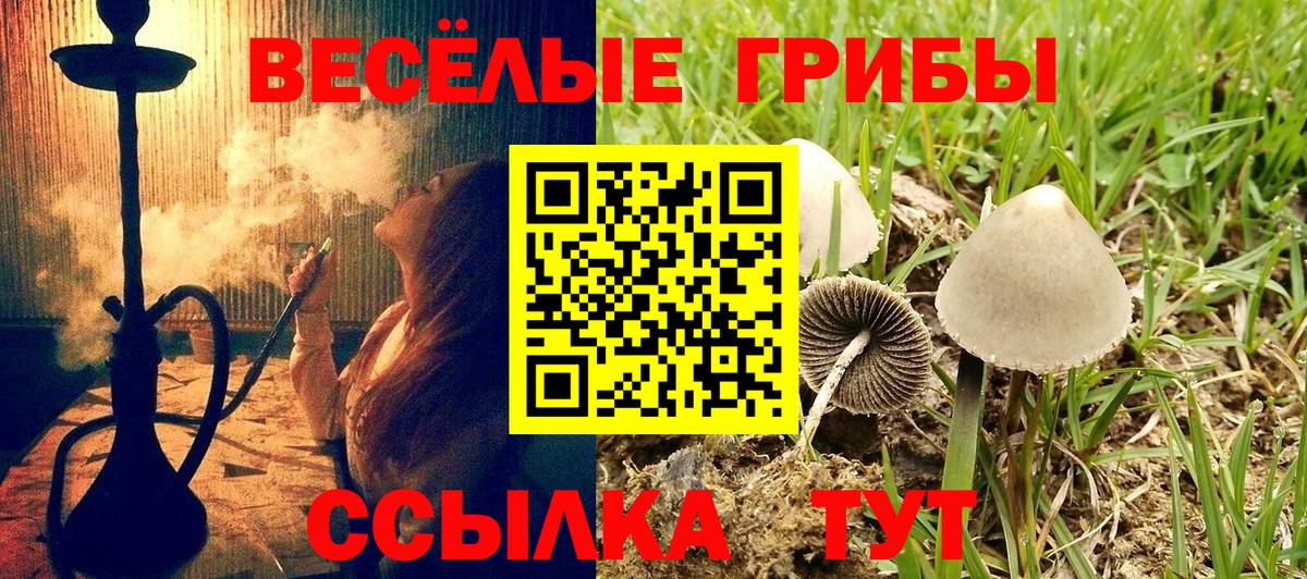 Арзамас  Псилоцибиновые грибы Psilocybine cubensis  Вход с VPN  Галлюциногенные грибы Magic Shrooms 